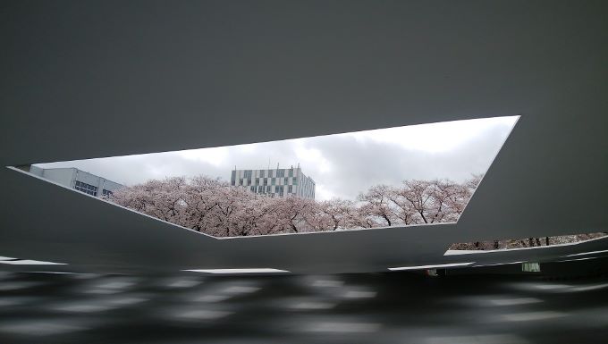 KAIT広場から桜をめでるLT.jpg